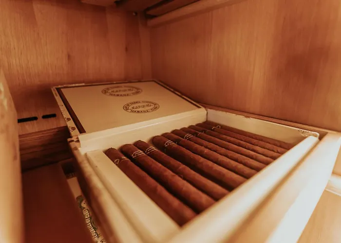 Resort Stork Design Epidaurus