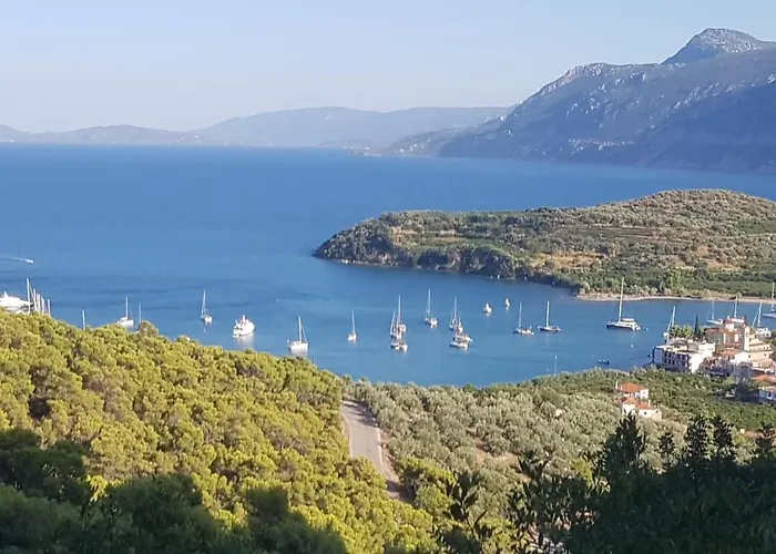 Stork Design * Epidaurosz